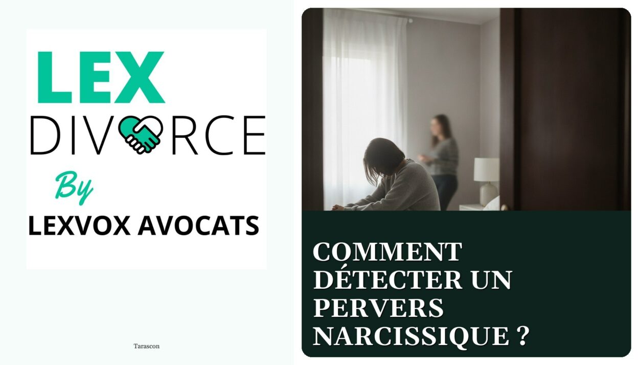 Comment détecter un pervers narcissique ? — cabinet LEXVOX Avocats, Tarascon