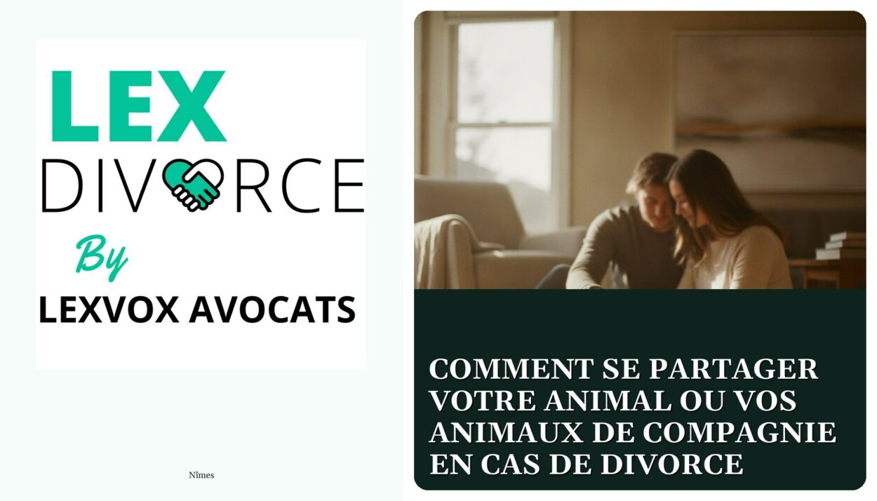 Comment se partager votre animal ou vos animaux de compagnie en cas de divorce — cabinet LEXVOX Avocats, Nîmes