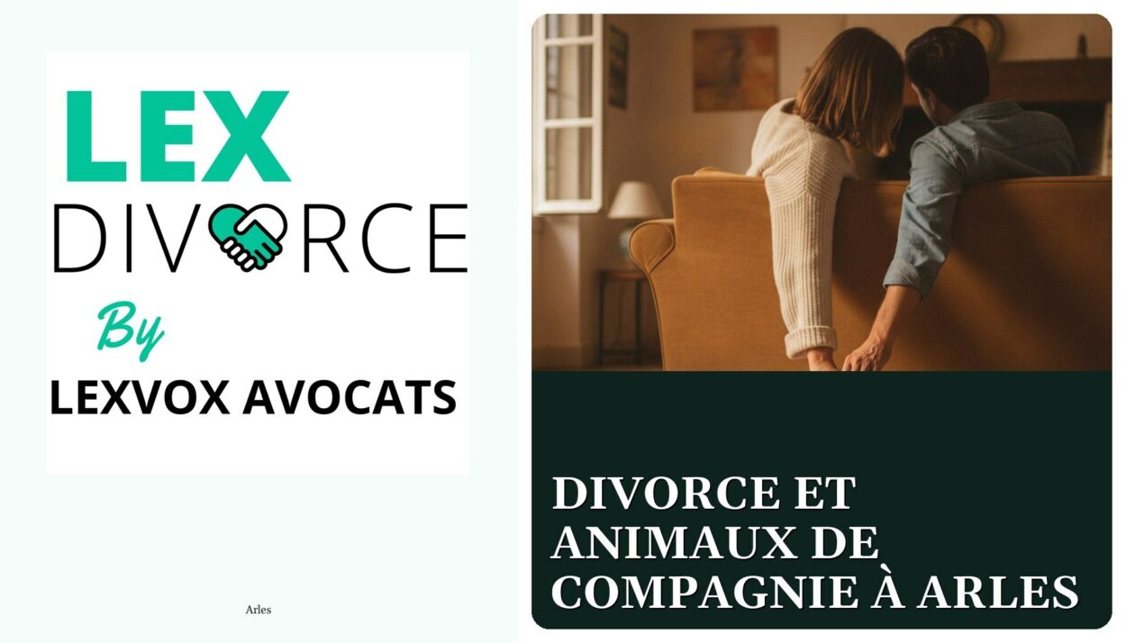 Divorce et animaux de compagnie à Arles — cabinet LEXVOX Avocats, Arles