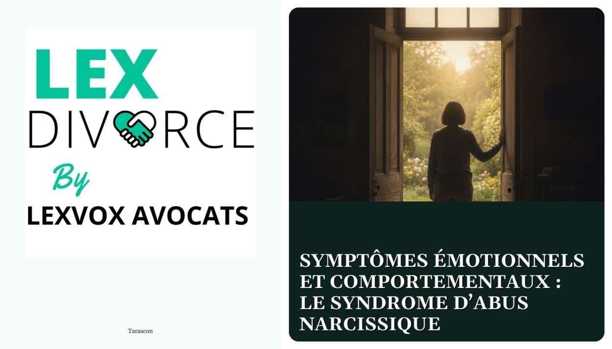 Symptômes émotionnels et comportementaux : le syndrome d’abus narcissique — cabinet LEXVOX Avocats, Tarascon